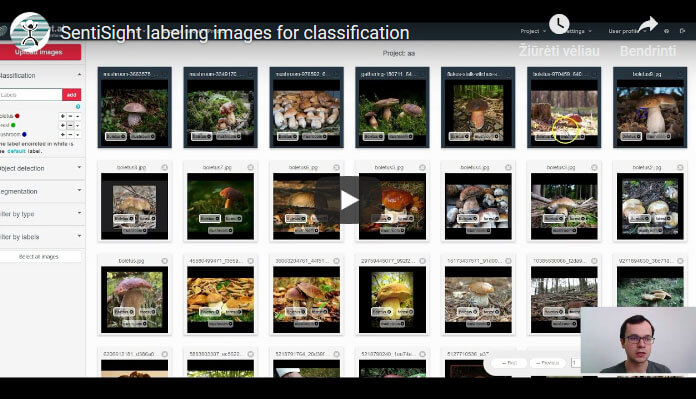 Labeling images for classification