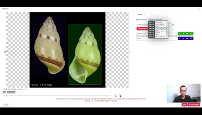 Video tutorials - SentiSight.ai