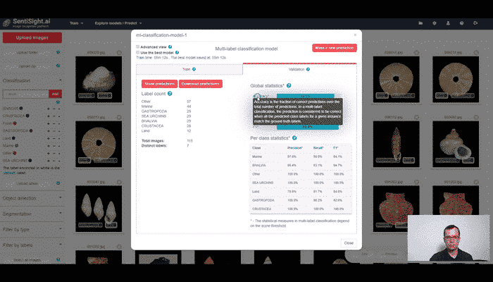 Training a multi-label classification model in detail