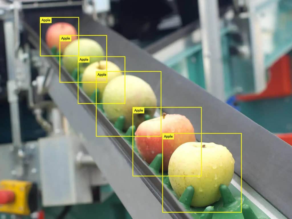 Apples in bounding boxes - for defect recogntion