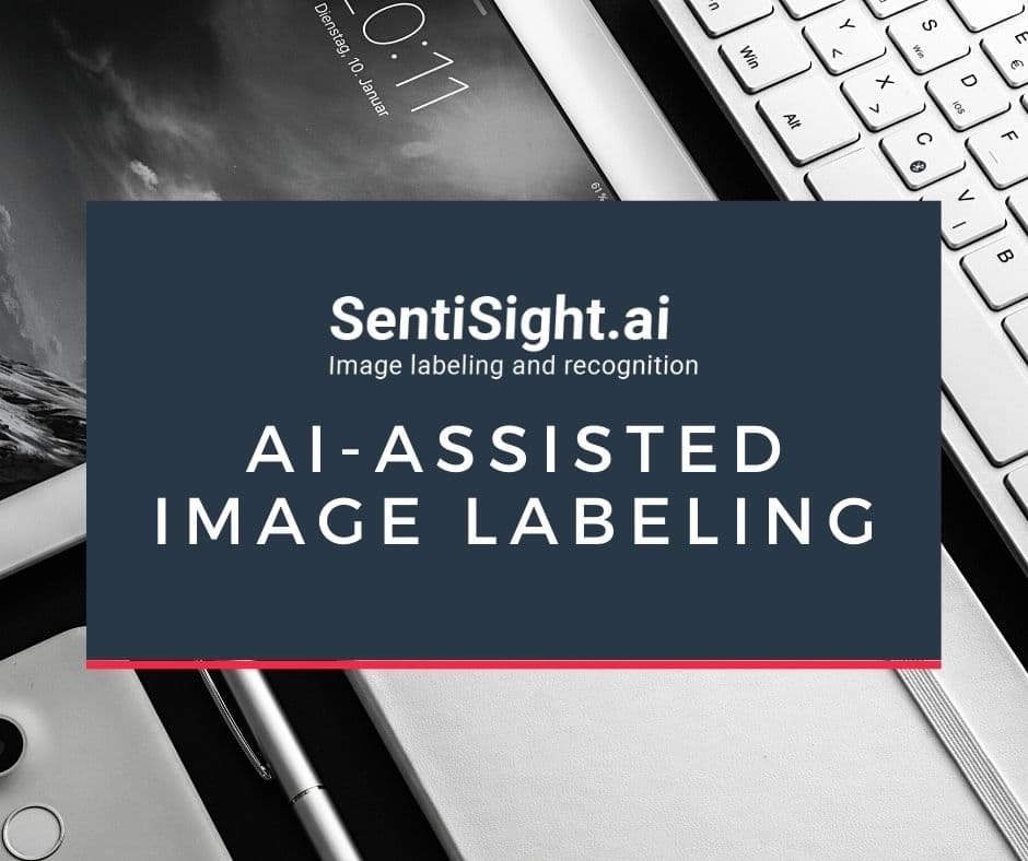 AI-assisted Image Labeling