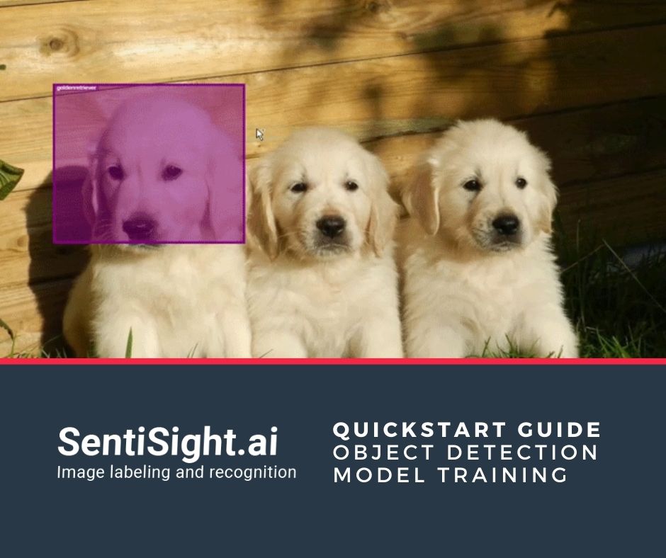 Quickstart guide for training object detection model using SentiSight.ai