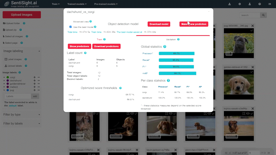 Quickstart guide for training object detection model using SentiSight.ai - SentiSight.ai Using your trained model