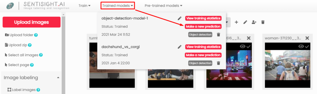 Web interface trained models