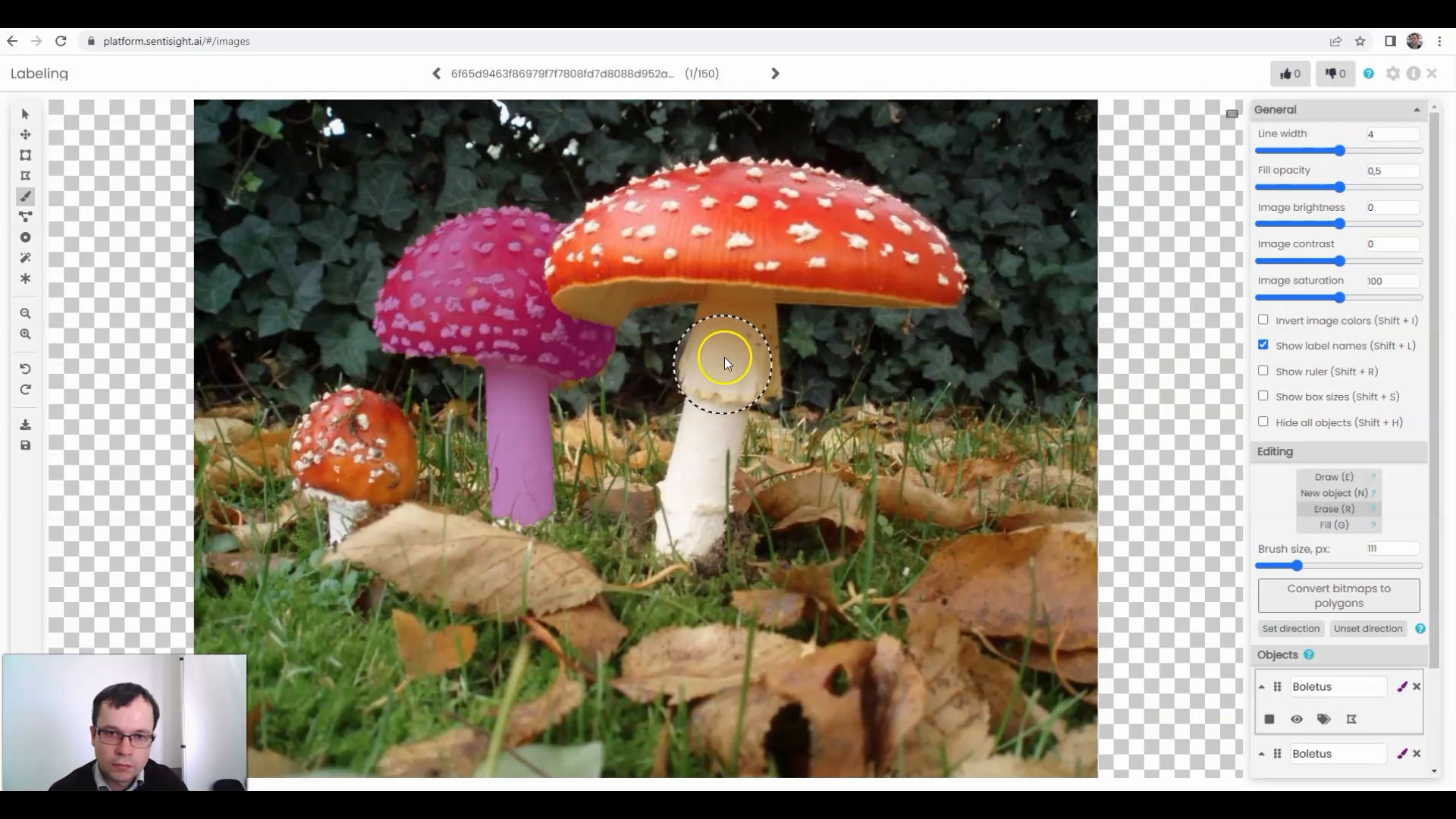 Screenshot from SentiSight_ai_image_segmentation_model_training_tutorial.mov