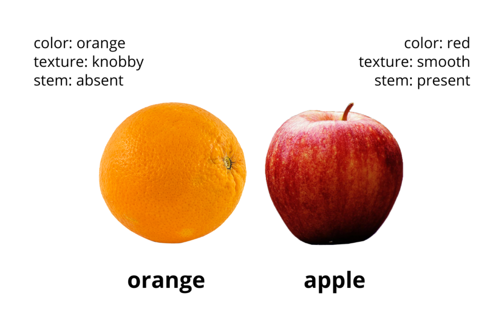 orange vs apple