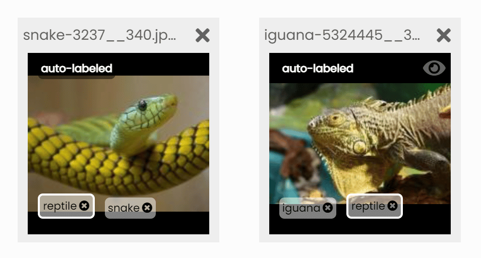 AI-assisted image labeling using image similarity - SentiSight.ai