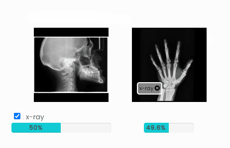 AI-assisted image labeling using image similarity - SentiSight.ai