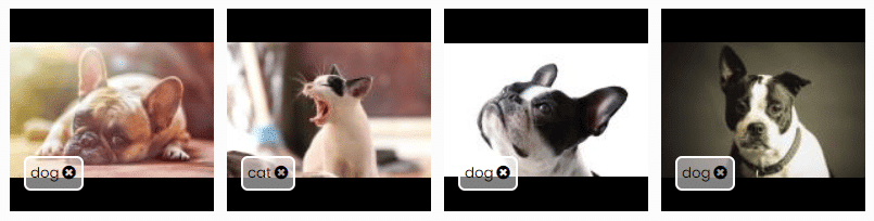 AI-assisted image labeling using image similarity - SentiSight.ai