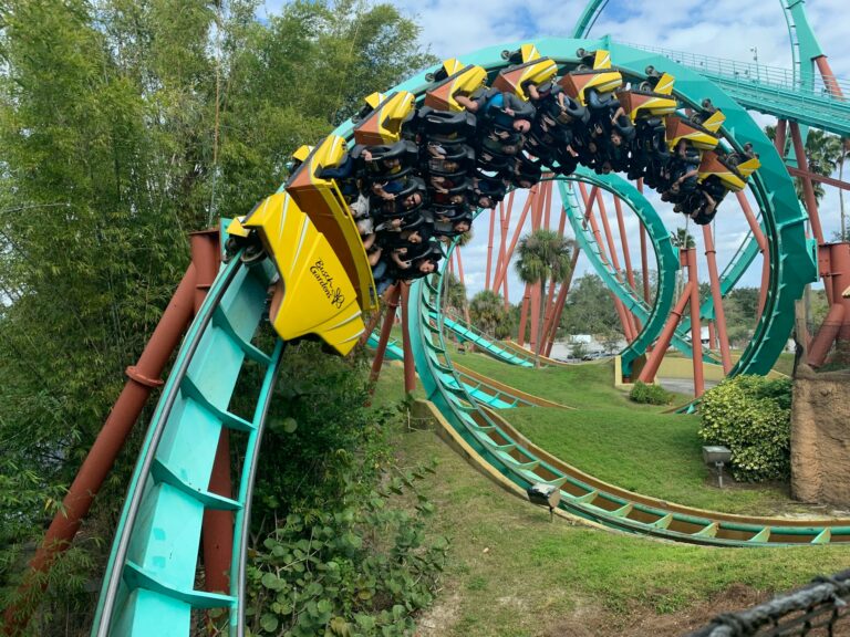 A rollercoaster. Image credit: Stephen Hateley via Unsplash, free license