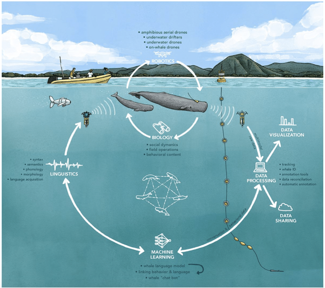 Wildlife conservation ideas