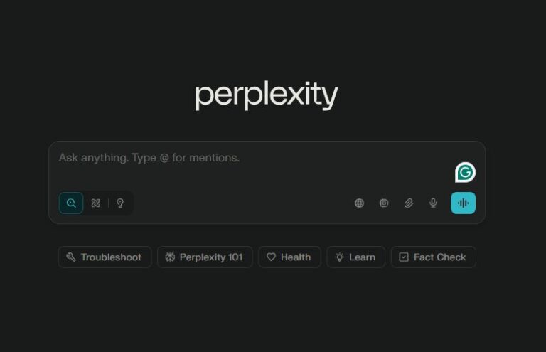 How Does Perplexity Compare Against Other GenAI Models? - SentiSight.ai Perplexity interface.