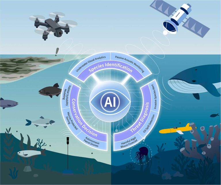AI in Ocean Depths: Mapping the Invisible - SentiSight.ai Image credit: H. Yang et al, 2025