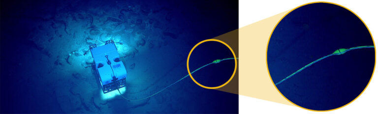 AI in Ocean Depths: Mapping the Invisible - SentiSight.ai Remotely operated vehicle Deep Discoverer moves over the seafloor during Dive 08 of the second Voyage to the Ridge 2022 expedition. ROVs communicate with their ship through a long fiber optic cable connecting the ship to the vehicle. Image credit: NOAA