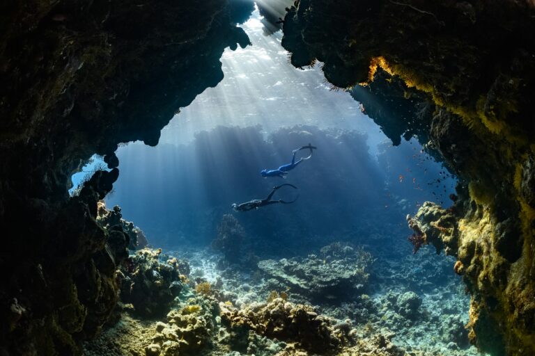 AI in Ocean Depths: Mapping the Invisible - SentiSight.ai Underwater diving - illustrative photo. Image credit: NEOM via Unsplash, free license
