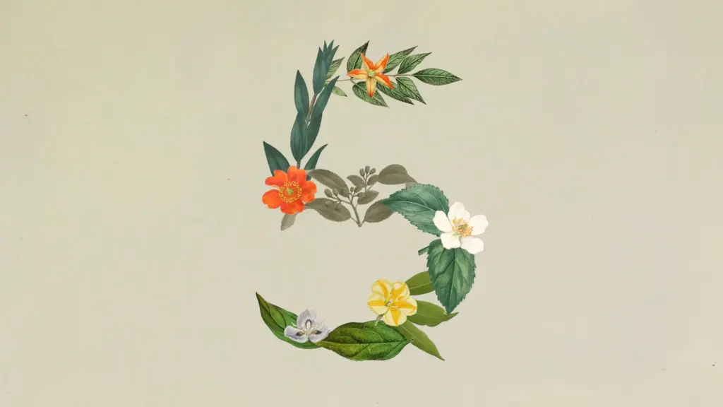 How Claude Sonnet 5 Compares to Anthropic's Other Models - SentiSight.ai Claude Sonnet 5 art. Image credit: Anthropic